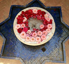 Morocco: Majorelle Garden (Report 2013)